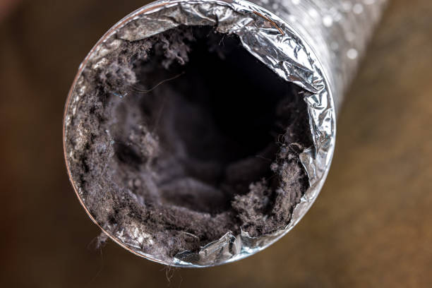 Best Air Duct Cleaning Near Me  in Clayton, OH